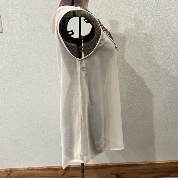 Yett sheer blouse, EUC - Picture 4 of 9